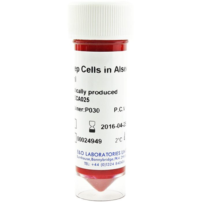 Sheep Cells in Alsevers 25ml